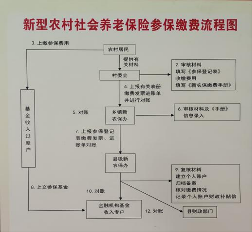 九江农村医保和社保有什么区别(农村医保跟社保的区别)